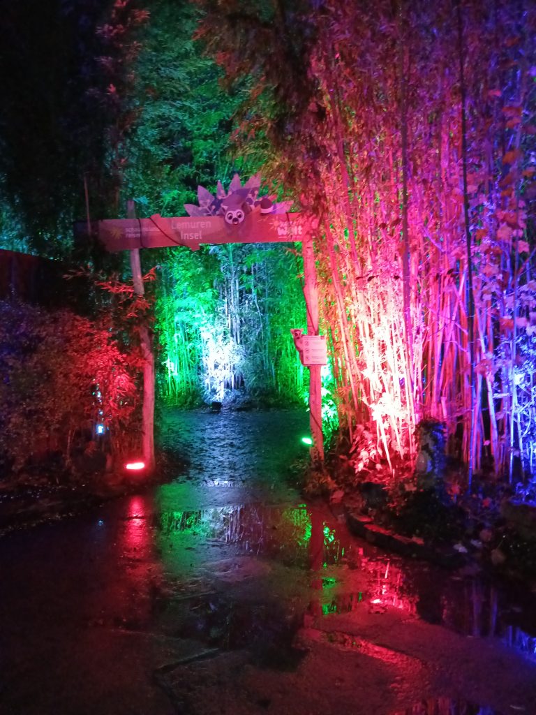 Zoolichter Duisburg Pfad