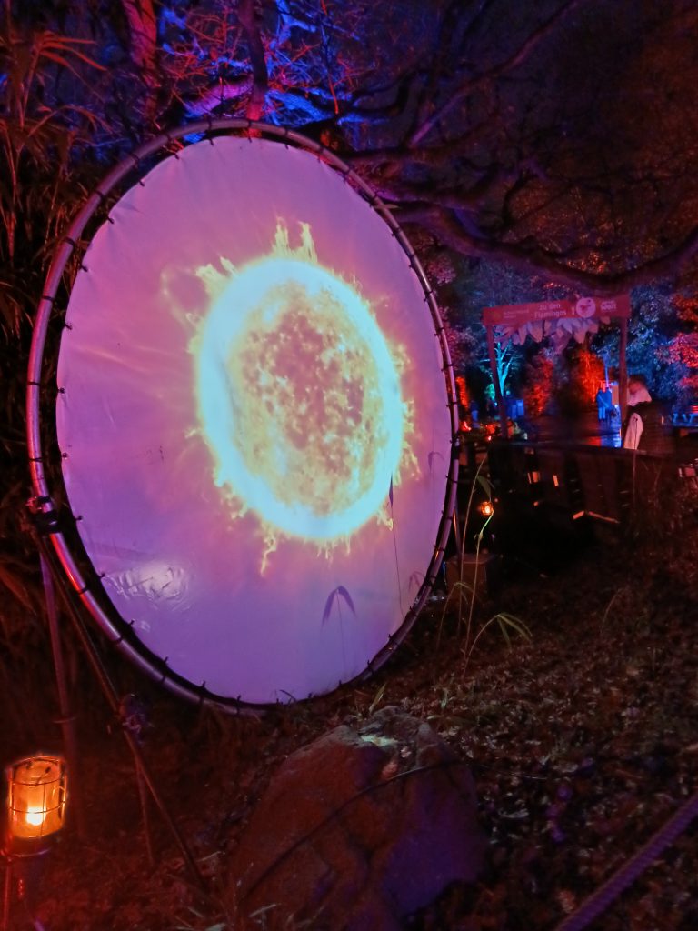 Zoolichter Duisburg Sonne