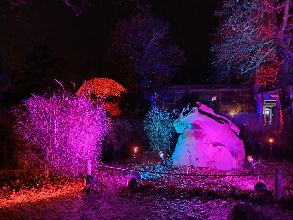 Zoolichter Duisburg beleuchtete Felsen