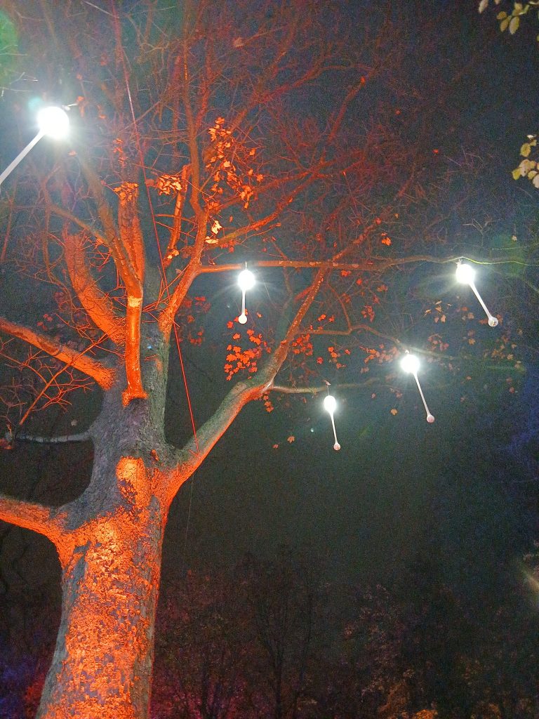 Zoolichter Duisburg Tropfen an Bäumen