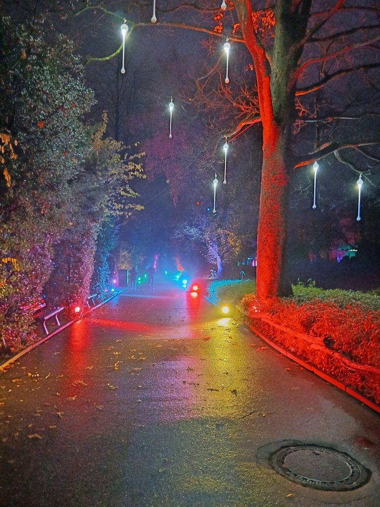 Zoolichter Duisburg beleuchteter Weg