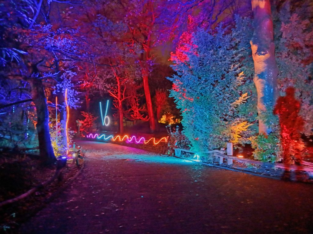 Zoolichter Duisburg illuminierter Weg