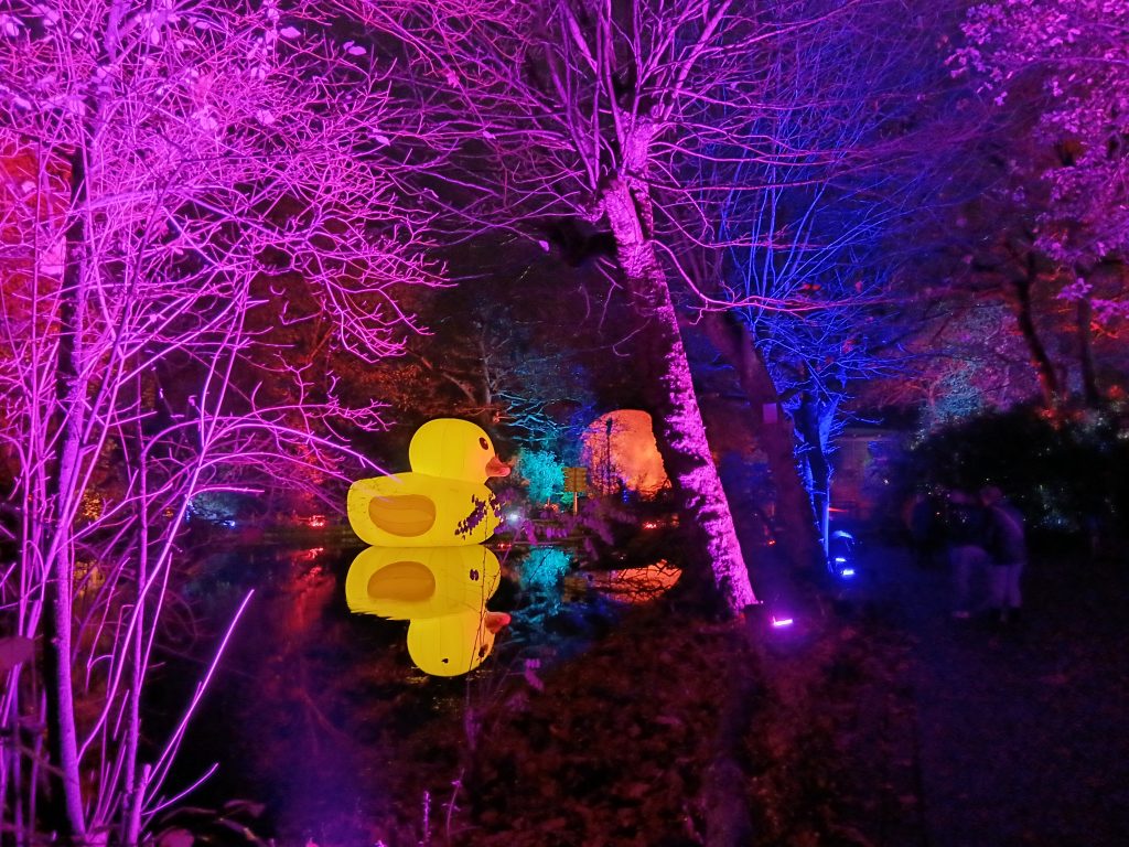 Zoolichter Duisburg Entchen von rechts