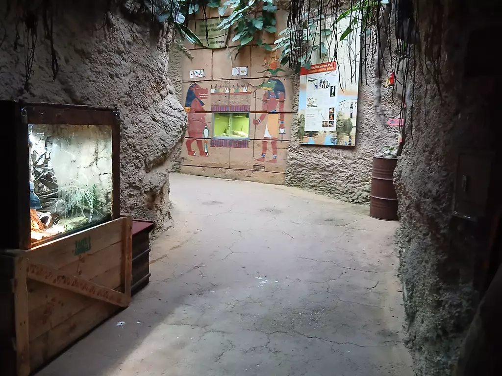 Zoo Köln Dinoworld Tierhaus