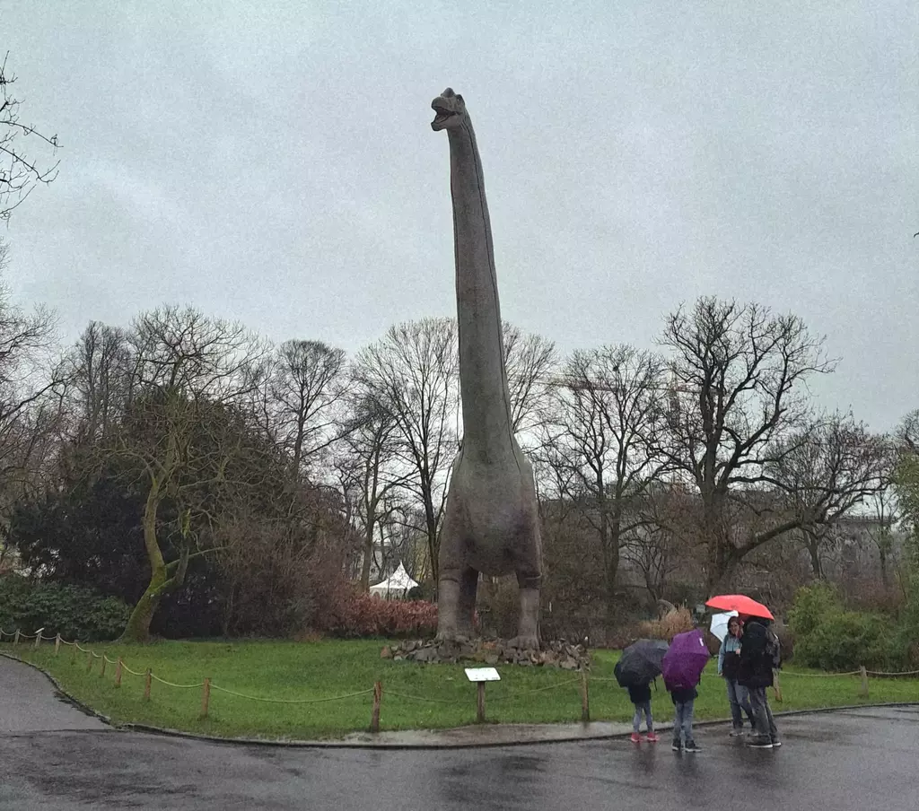 Zoo Köln Dinoworld Brachiosaurus