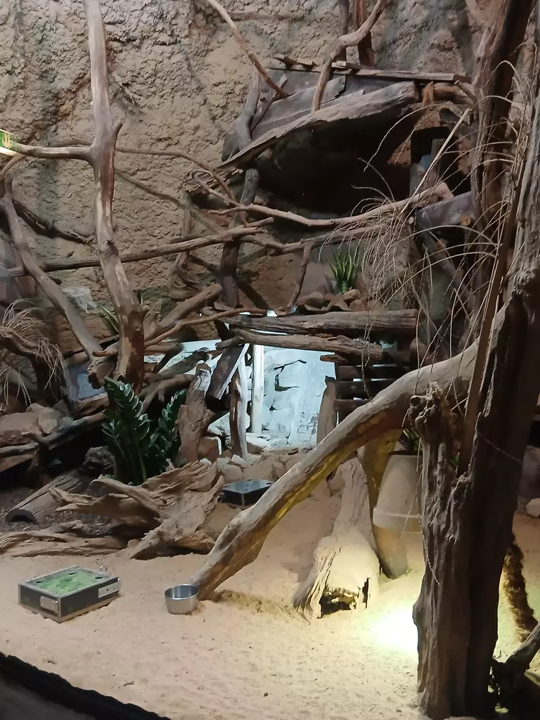 Zoo Köln Dinoworld Im Haus