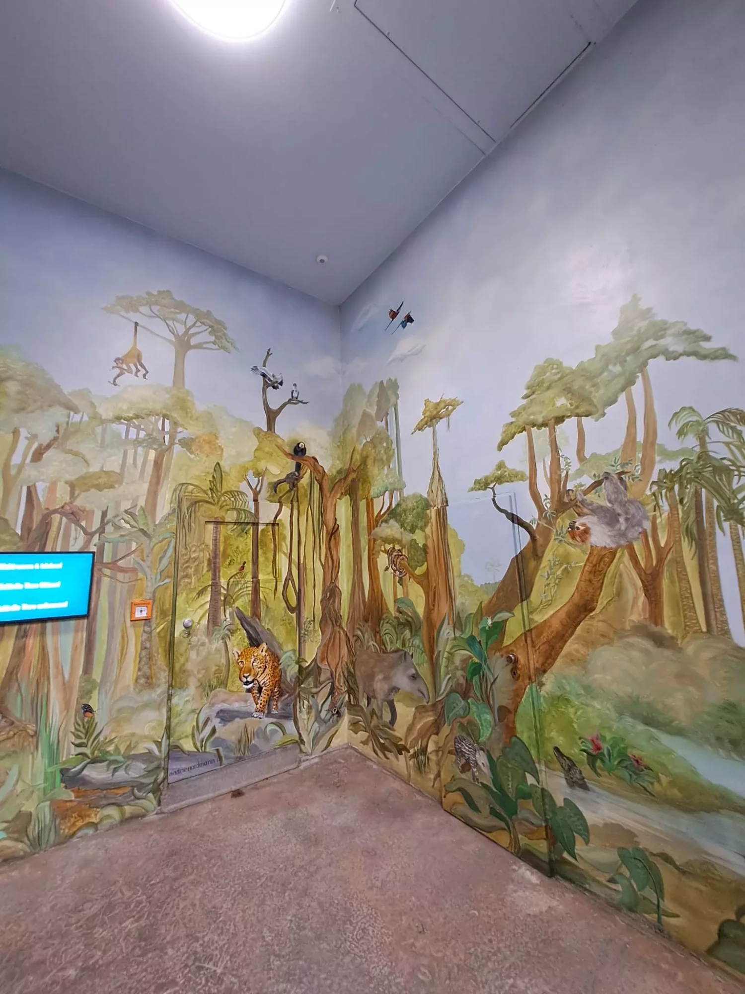 Kölner Zoo Dinoworld Wandmalereien