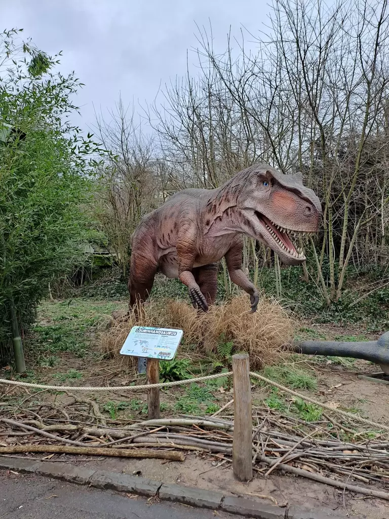 Kölner Zoo Dinoworld Fleischfresser