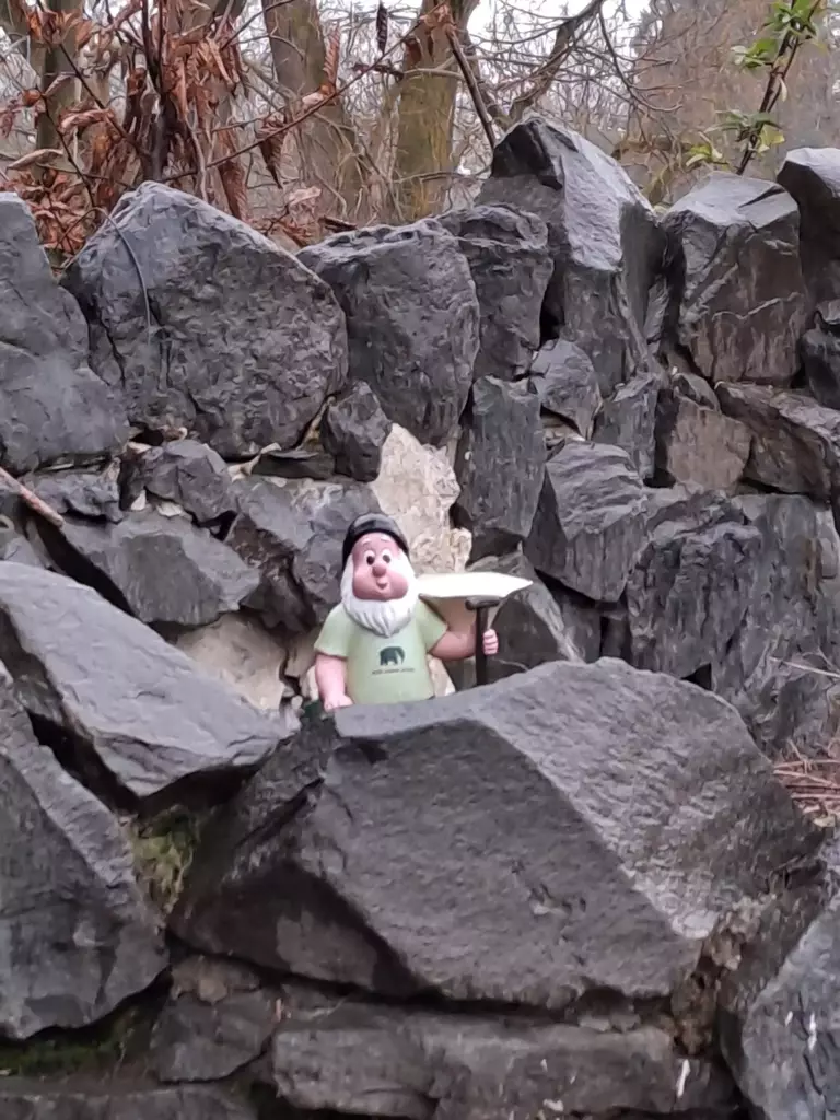 Zoo Köln Gartenzwerg