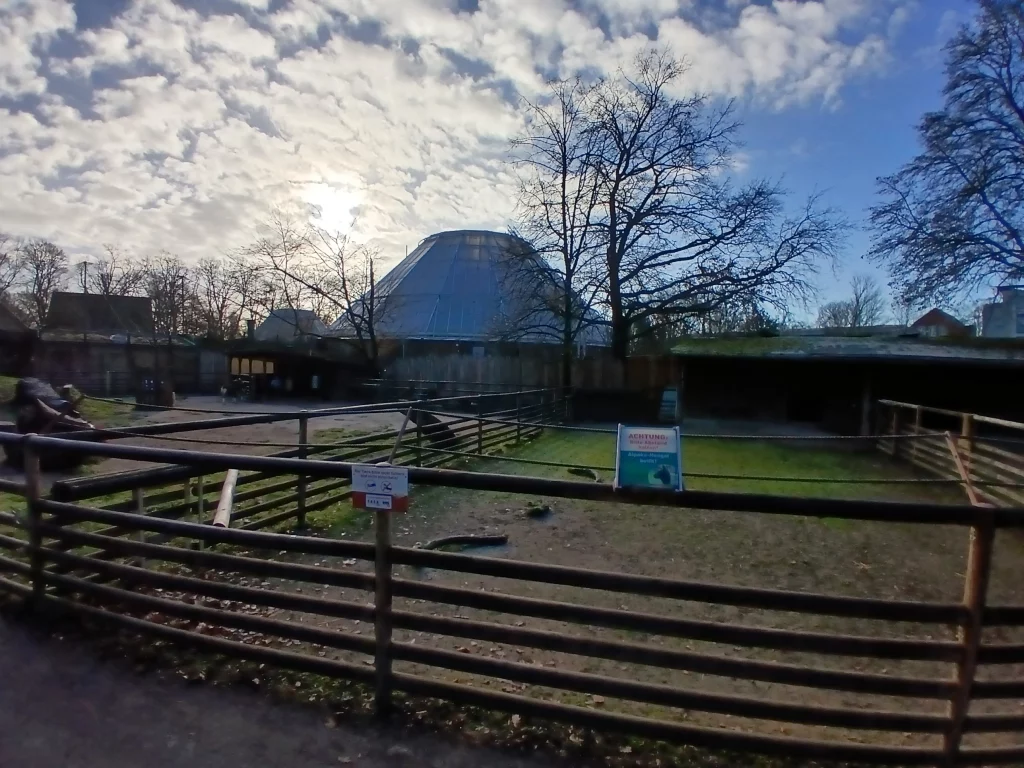 Zoo krefeld alpakas
