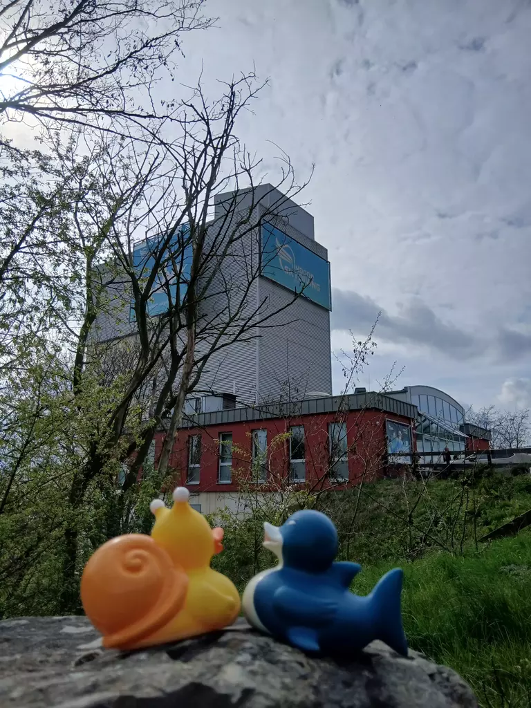 Skydiving Bottrop - Unser Erfahrungsbericht und die Bewertung (2026) 1 Skydiving Bottrop Entchen