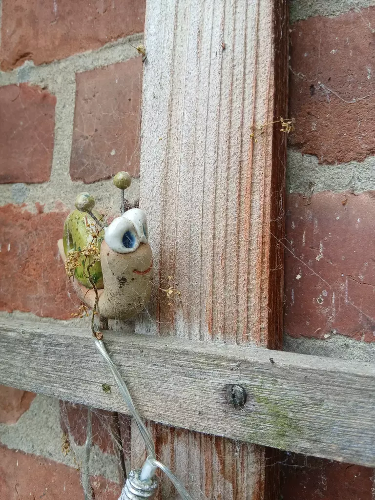 Hamburg - Wir kommen - Tag 1 – Nachtzug von Duisburg nach Hamburg 4 Schnecke Eckel