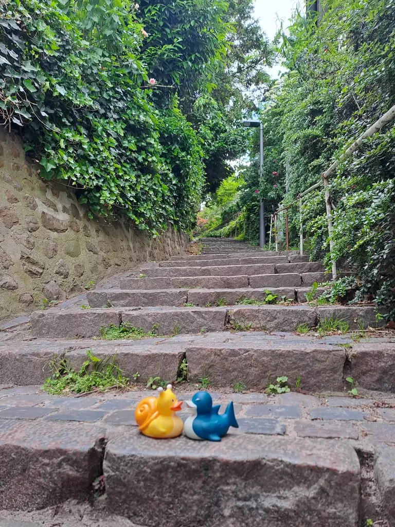 Hamburg Tag 2: Mit der Fähre & zu Fuß entlang der Elbe und der Besuch im Treppenviertel 6 schnarkiesworld treppenviertel 1