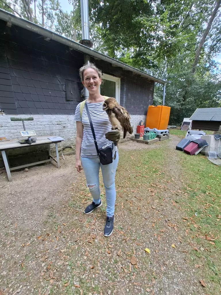 Falknerei Bergisch Land Eulenwanderung