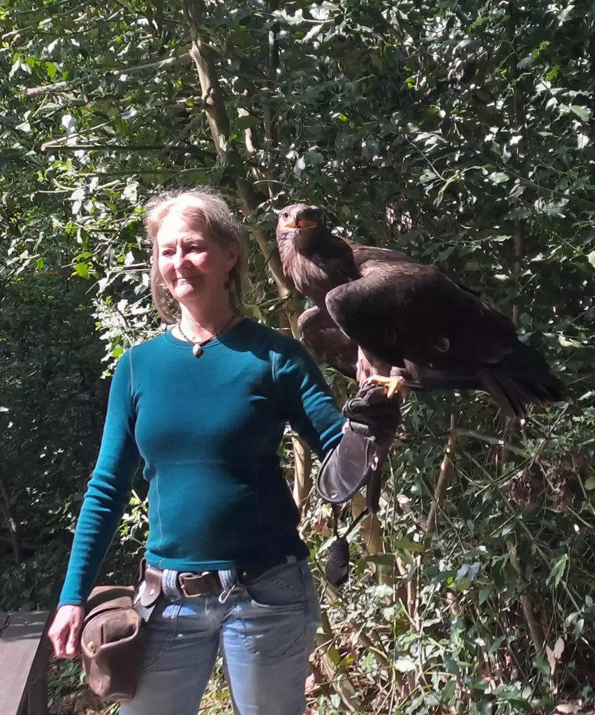 Falknerei Bergisch Land Greifvogelshow