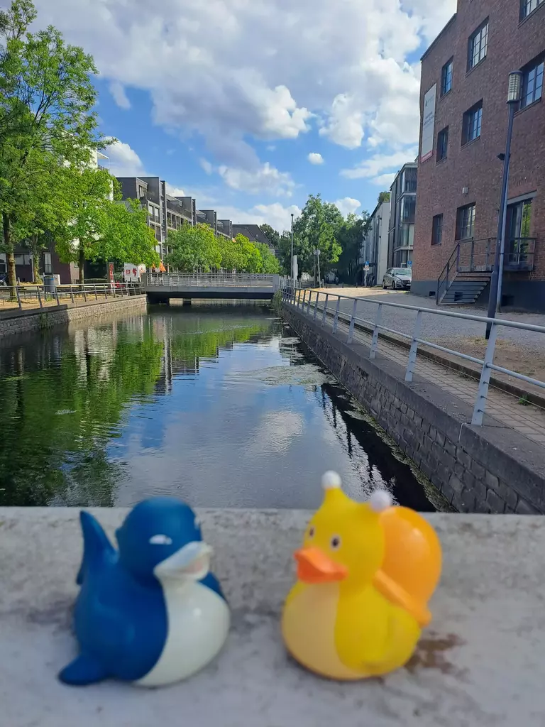 Paarzeit Schatzsuche - Duisburg Edition - Unser Erlebnis 6 Paarzeit Duisburg Entchen