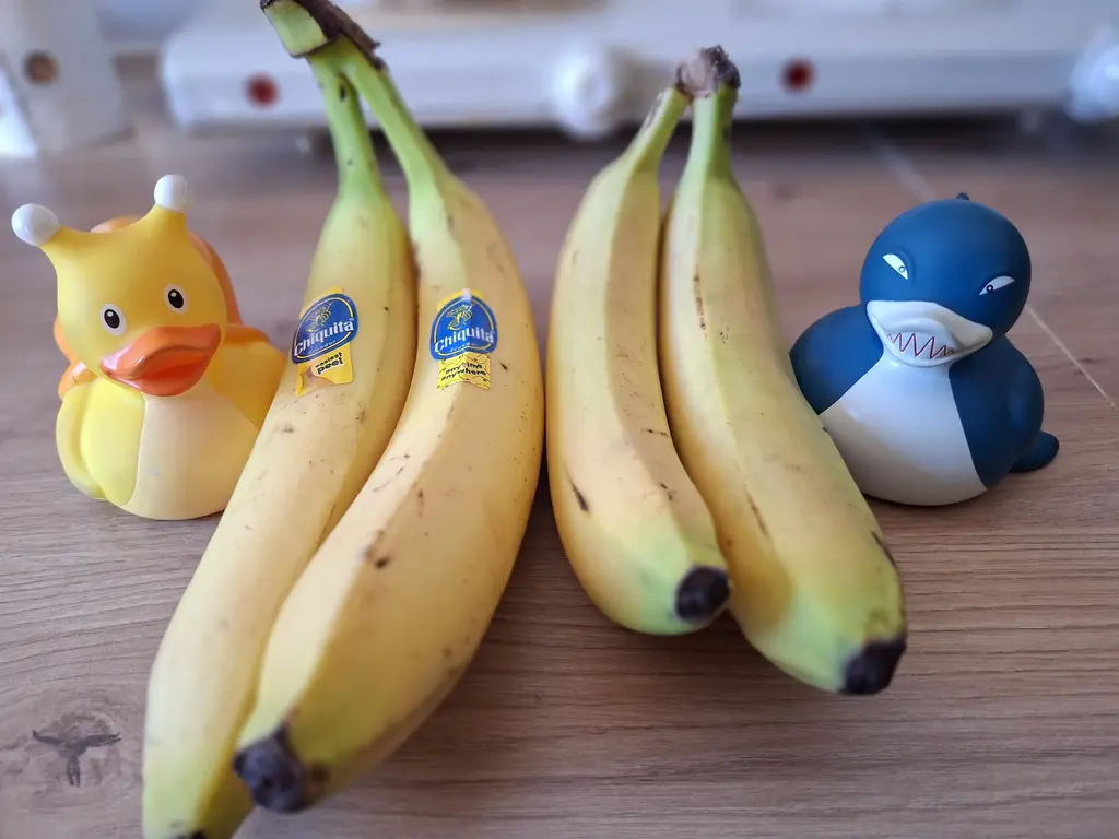Sind Chiquita-Bananen wirklich besser? Unser 6-Tage-Test gegen die Discounter-Banane 1 Chiquita vs. No Name Bananen Tag 1