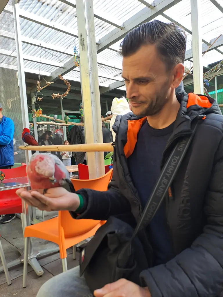 Papageienpark Bochum Erfahrung / Bewertung: Zwischen Kakadus, Aras und Kuchen 17 Papageienpark Bochum Sharky mit rosa Kakadu