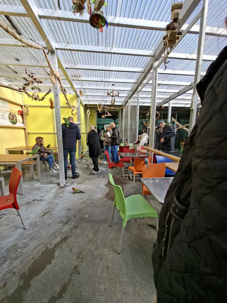 Papageienpark Bochum Erfahrung / Bewertung: Zwischen Kakadus, Aras und Kuchen 13 Papageienpark Bochum Besucher