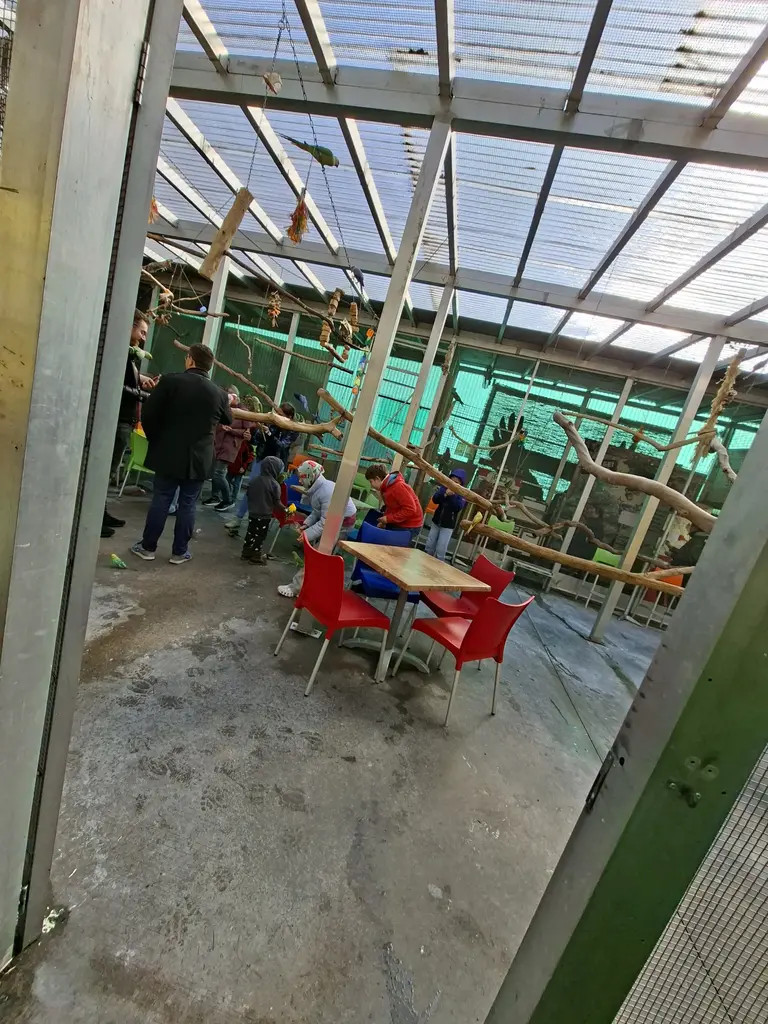 Papageienpark Bochum Erfahrung / Bewertung: Zwischen Kakadus, Aras und Kuchen 18 Papageienpark Bochum Cafe Sitze