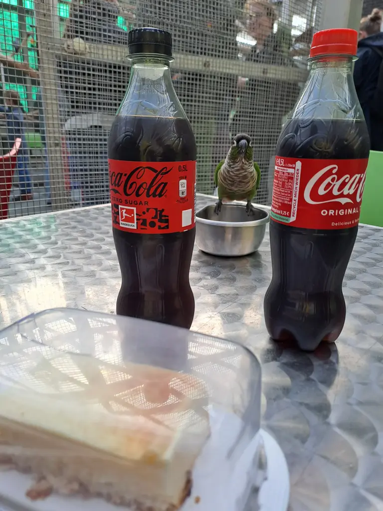 Papageienpark Bochum Erfahrung / Bewertung: Zwischen Kakadus, Aras und Kuchen 12 Papageienpark Bochum Cola mit Vogel