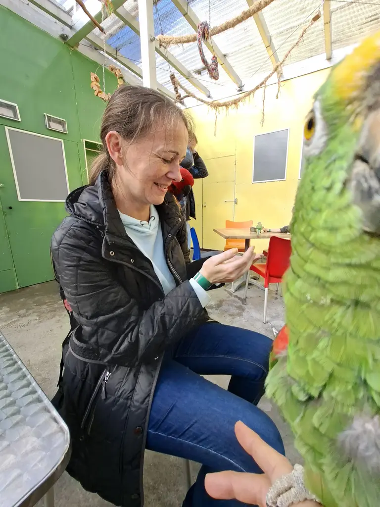 Papageienpark Bochum Erfahrung / Bewertung: Zwischen Kakadus, Aras und Kuchen 19 Papageienpark Bochum Papagei Grün