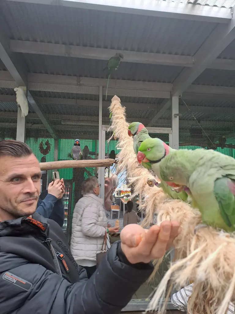 Papageienpark Bochum Erfahrung / Bewertung: Zwischen Kakadus, Aras und Kuchen 6 Papageienpark Bochum Vogelfütterung