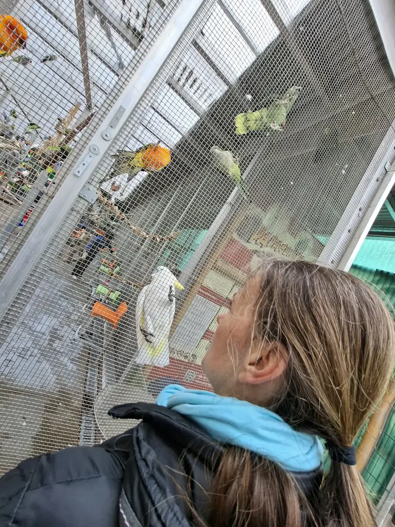 Papageienpark Bochum Erfahrung / Bewertung: Zwischen Kakadus, Aras und Kuchen 5 Papageienpark Bochum Schneggi Voliere